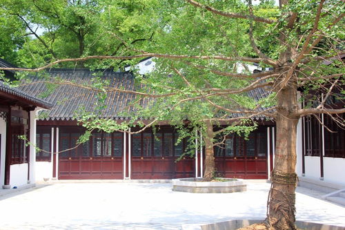 九峰书院 古韵新生，文脉传扬——免费对外开放的仿古文化殿堂